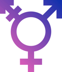 Transgender_Symbol_Small