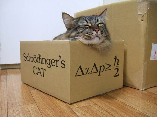 Schrodingers-Cat